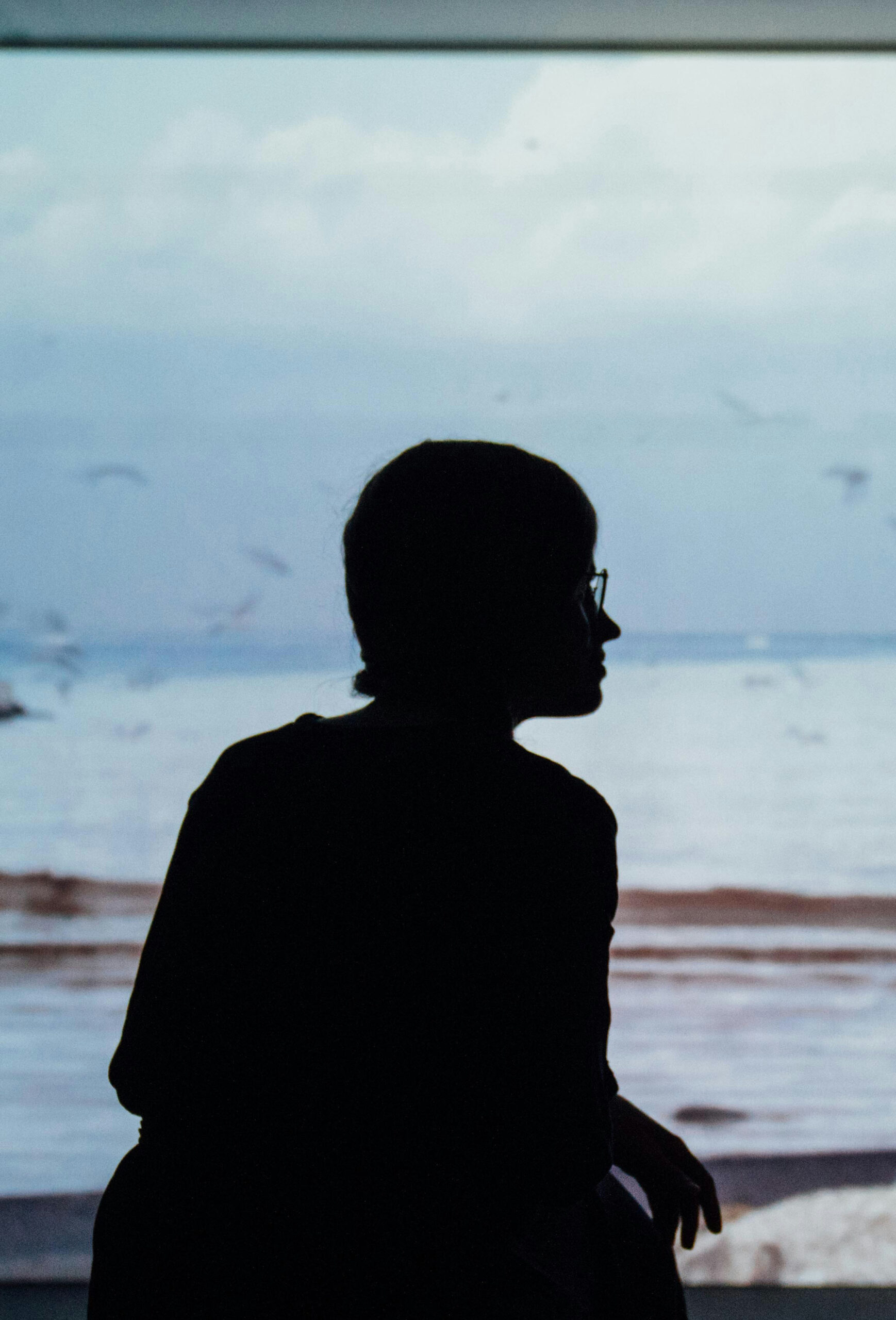 Silhouette of a person looking out over the ocean at dusk