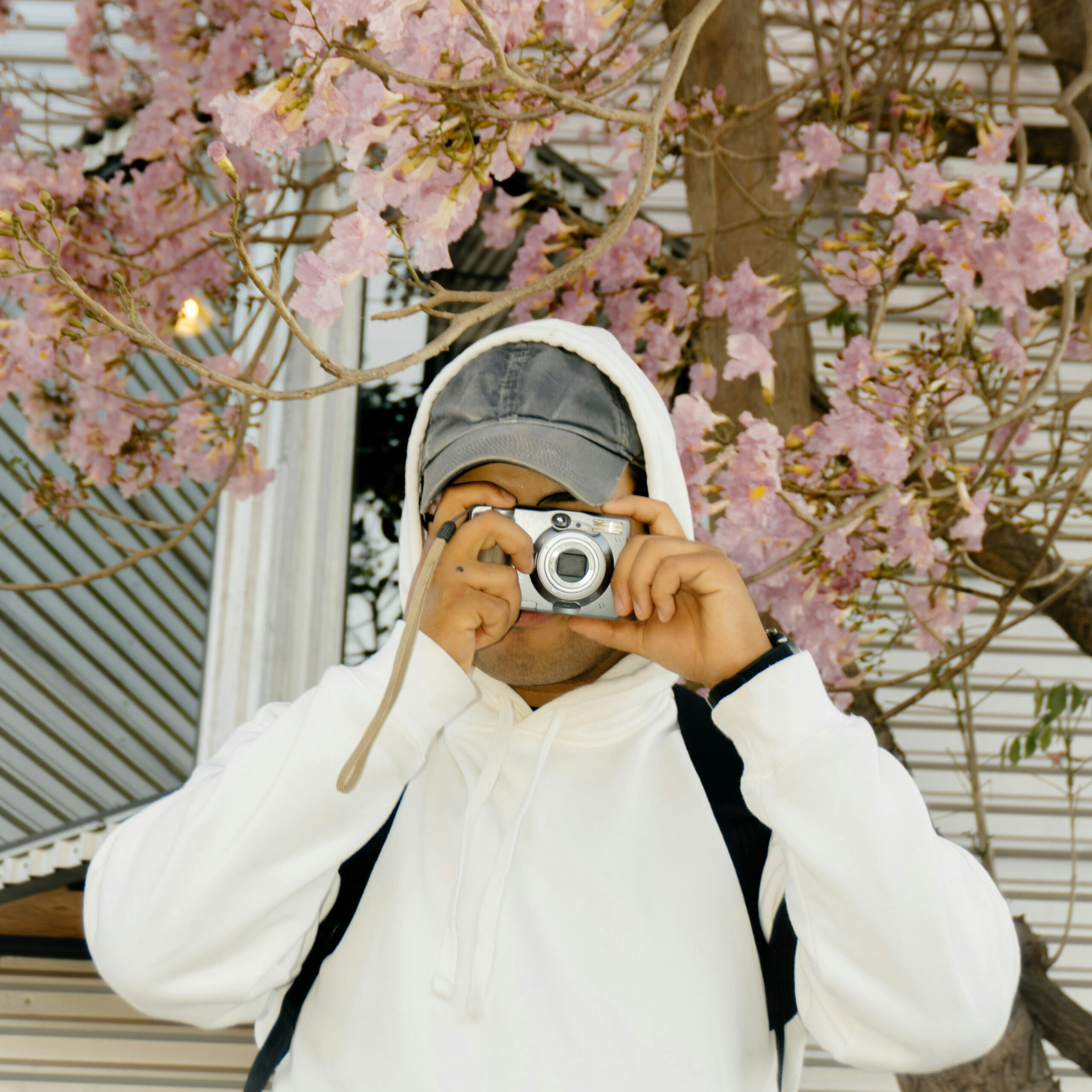 Person in a white hoodie taking a photo under blooming pink flower